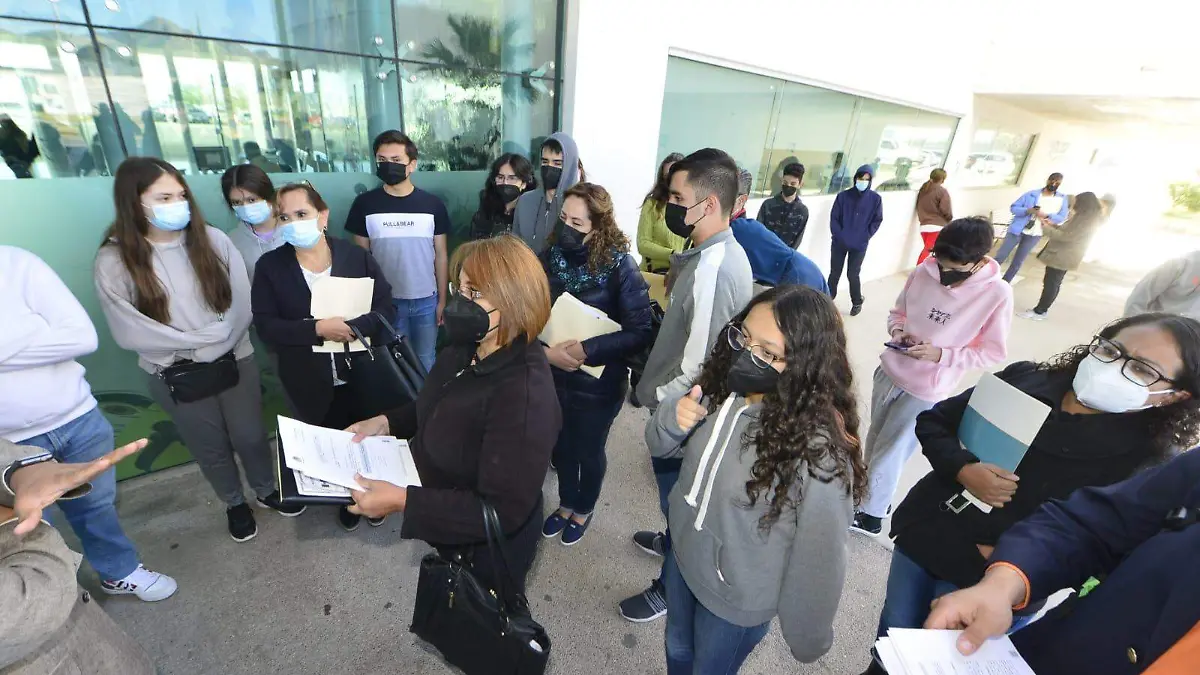 filas de amaprados para vacuna